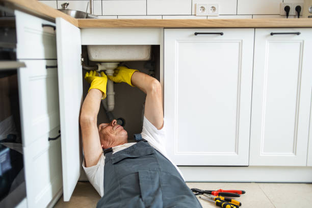 Best Local Plumber Services  in New Plymouth, ID